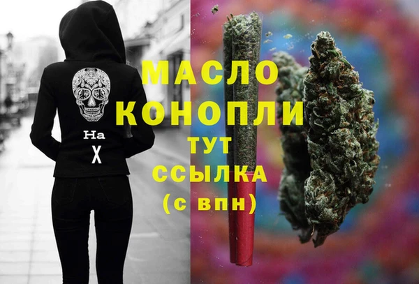 ECSTASY Болотное