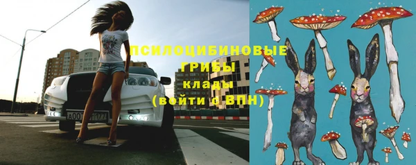 твердый Новокубанск