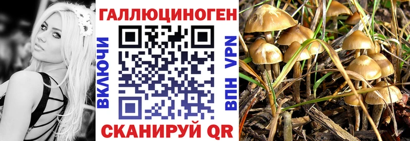 Псилоцибиновые грибы ЛСД  купить наркотики цена  Семилуки 